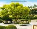 Design mit Pflanzen - Moderne Architektur im Garten