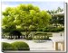 Design mit Pflanzen - Moderne Architektur im Garten