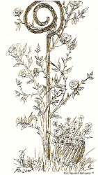 Kletterrosen, die schönsten Exemplare für den Garten Kletterrosen, Rankrosen, Rosenranken, Rankhilfen für Rosen, Buchtipp Rosen, Romantikgarten, Rosengarten, Extratipp, Garten mit Rosen, Rosenblüten, Rosensorten wählen, blühende Rosenpracht, romantischer Sitzplatz im Garten, Zeichnung Rosen, zarter Duft, Medusa, Rosensäule, Wuchskraft, Kletterhilfe