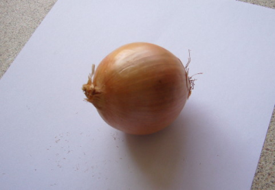 richtiges Zwiebelschneiden, Zwiebeln richtig schneiden und Tränen vermeiden Zwiebeln, schneiden, richtig, keine Tränen, nicht mehr weinen