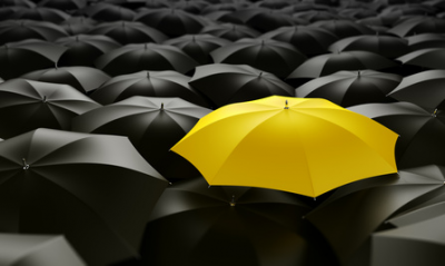 Regenschirmpflege, Regenschirme richtig pflegen Regenschirm, Tagschirm, Regen, Pflege