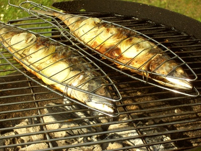 Fisch, grillen, räuchern, Grill, Grillen, gegrillter, Grilkorb, zubereiten