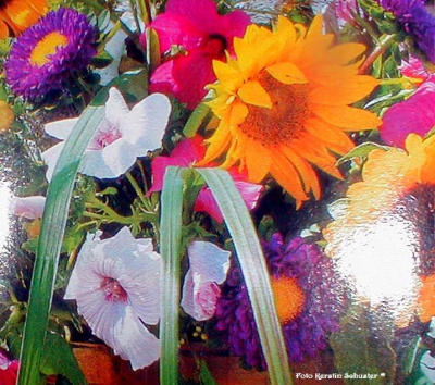 Schnittblumen, Vase, anordnen, Gestaltun, Arrangement, Blumen richtig ordnen, Blumenvase zu gorß, Blumengesteck, Vase, Blickfang, bezaubernder Blumenschmuck, Blumen schenken, Strauß Blumen arrangieren, Tipp, Trick, Rat, Hilfe, Pflanen und Blumen, Tischschmuck. Blumendekoration