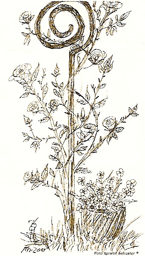 Kletterrosen, die schönsten Exemplare für den Garten Kletterrosen, Rankrosen, Rosenranken, Rankhilfen für Rosen, Buchtipp Rosen, Romantikgarten, Rosengarten, Extratipp, Garten mit Rosen, Rosenblüten, Rosensorten wählen, blühende Rosenpracht, romantischer Sitzplatz im Garten, Zeichnung Rosen, zarter Duft, Medusa, Rosensäule, Wuchskraft, Kletterhilfe