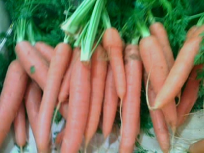 Möhrenpfanne - Rezept zum Zubereiten bzw. Kochen Möhrenpfanne, kochen, zubereiten, Rezept