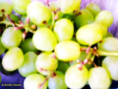 Obst länger frisch halten obst, frisch, halten, länger, bananen, apfel, kiwi, obstschale, farnblätter