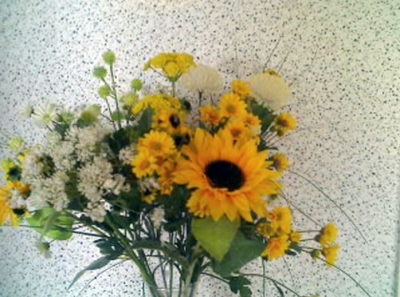 Schnittblumen länger frisch halten Blumen, länger,schön,heben,frisch