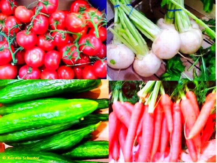 Gesundheit aus dem Gemüsebeet Gemüse, Gesundheit, Küche, Ernährung, Tomate, Zucchini, Abergine, Bakterien, Viren, Pilze, Pflanzenstoffe, Mineralstoffe, Spurenelemente, Buchtipp, Ernährungsberatung, kalorienarm, fettarm, Power, Kraft, Supermarkt, knackig, Obst, Gemüseidee, Vitaminbombe, putzen, waschen, Abnehmen, Diätplan
