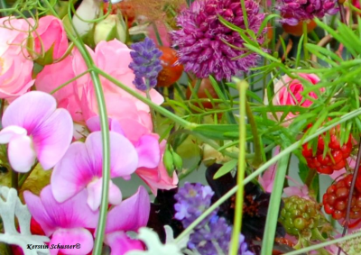 essbare Blüten, Saatgut, Torte, Gäste bewirten, Pflanzen, Blumen, Gesteck, Vase, Salat, Gericht, Drink Auswahl, optisch, essbar, genießen, Saatgut, Blütenträume, dekorativ, Dekoidee, Buchtipp, Kaffeetafel, Party, Variante, leckere Gerichte, Rezept, Backidee, Back Tipp, Essen, Planzen ziehen, Kuchen